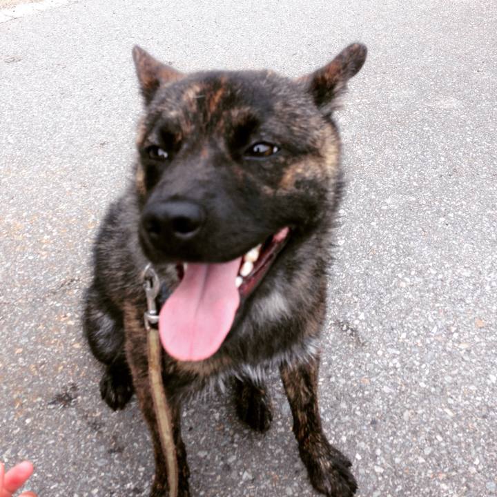 C6858319 ea8b 4f81 9673 630a95008f06