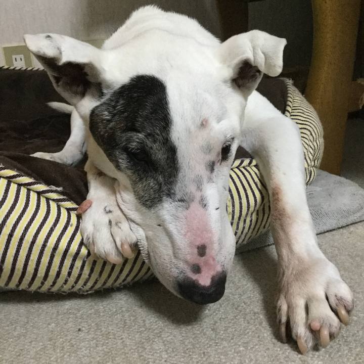 C685db6c 810c 4e9f 8634 46cbdbc6e620