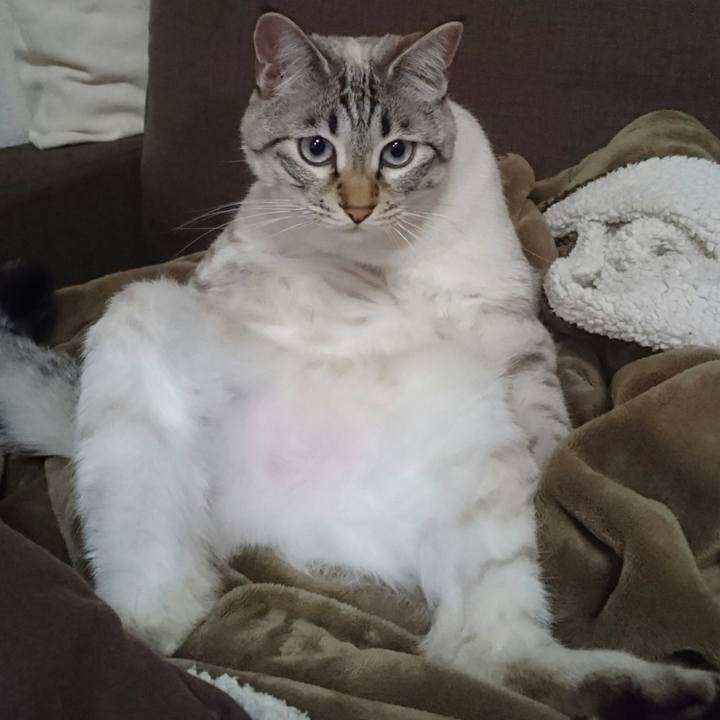 C6861e59 ac89 4eea 847e c0aa58c00fd6