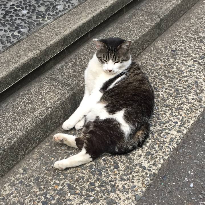 C6864859 23a7 406f 9597 ef7d3ac18bce