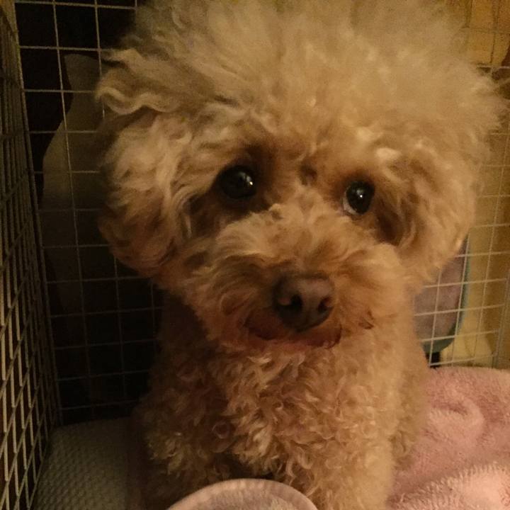 C6868d35 20ce 41d7 be8d 2dd2780f63e1