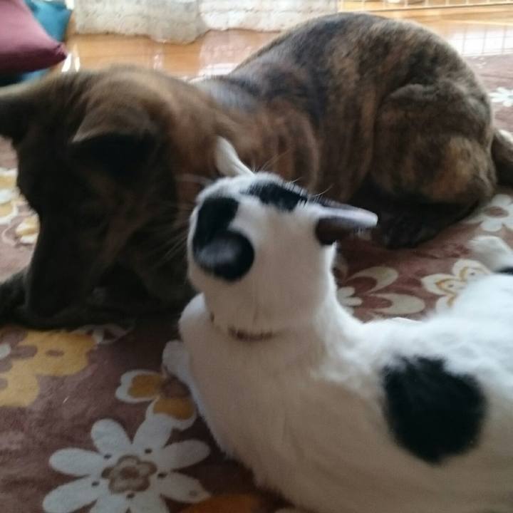 C686979f 15af 4599 bcc6 c4cadec931a2