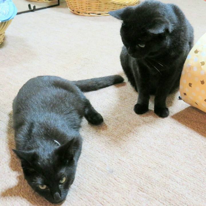 C686b825 9372 4e95 acdd 6943366ca24d