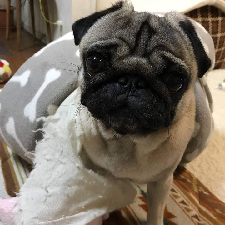 C686db2f 4b62 42b8 864e f2c253de0c3c