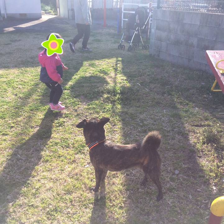 C6870be0 c1e7 4df3 bed3 4a7aeac659fe