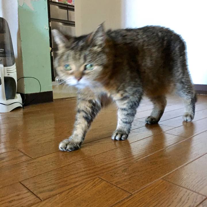 C68741cd 0d30 4a6a b766 0649b46dbc5b