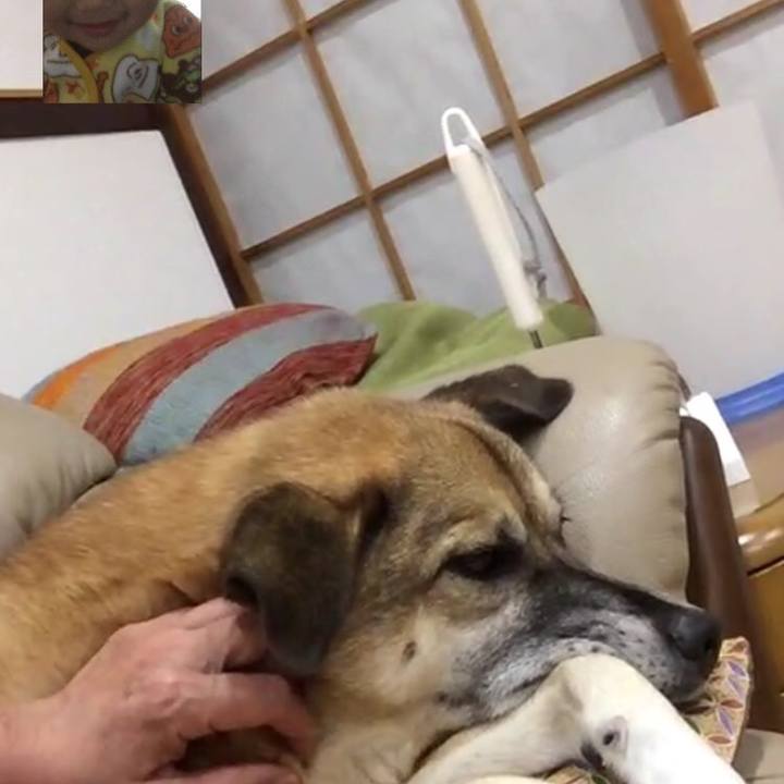 C6874496 ff19 4e07 8db6 2758774b75f2