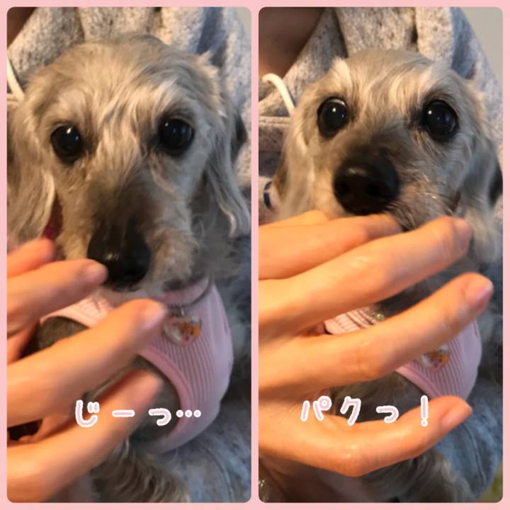 C687506e d902 4210 a585 f8e2bd810cb6