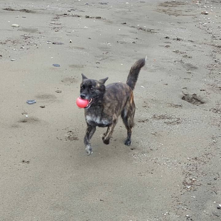 C687ca68 efc6 4743 9580 69737ff60115