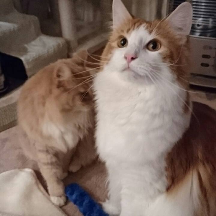 C688e2fb 48c9 4b3b b080 337053293a56