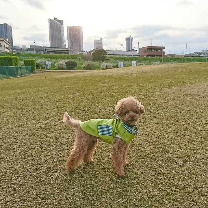 C689617f 1485 4109 a8a8 ec2fceaa5285