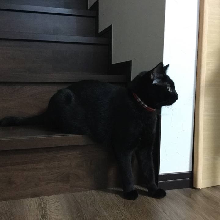 C6897350 fab7 4e44 96d9 7ac8abadffe0