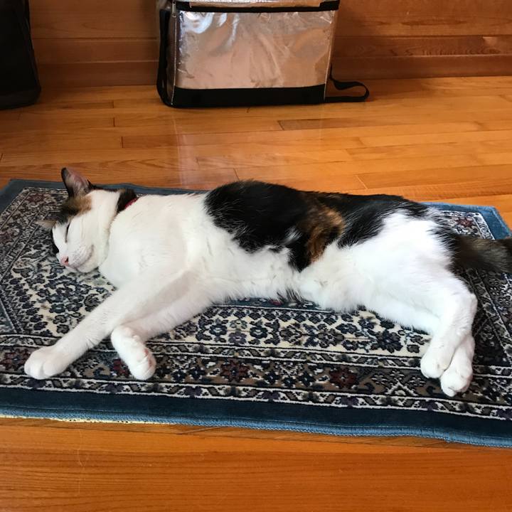 C68a663b 12c8 4ff5 9b9b 09cd1c7179e0