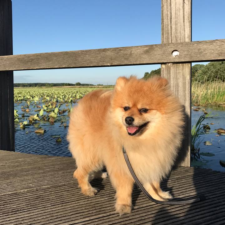 C68a8ae4 4422 4e8d 8b7b 67bc24da5ca8