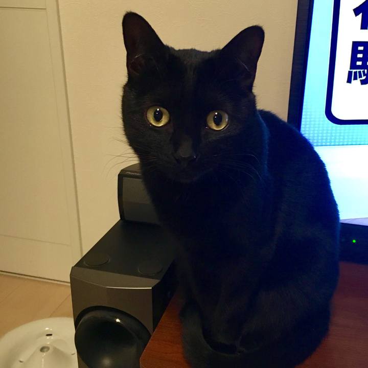 C68aa170 0de8 42ec 93f9 4691efa6ec9d