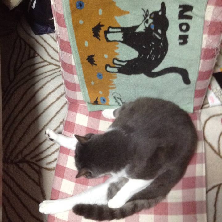 C68b3011 a7da 423b 890d 4da13a950957