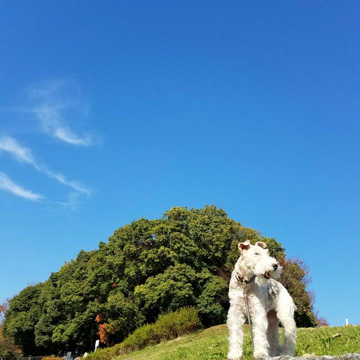 C68b4434 68a5 4af0 8e19 194e572b8271