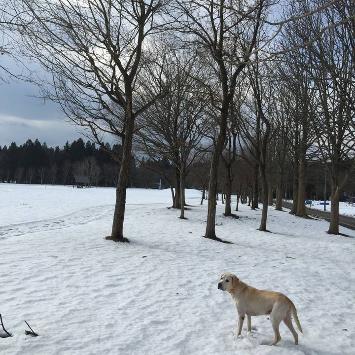 C68b6c9f 48bc 44a8 adf6 226d4c470c0a