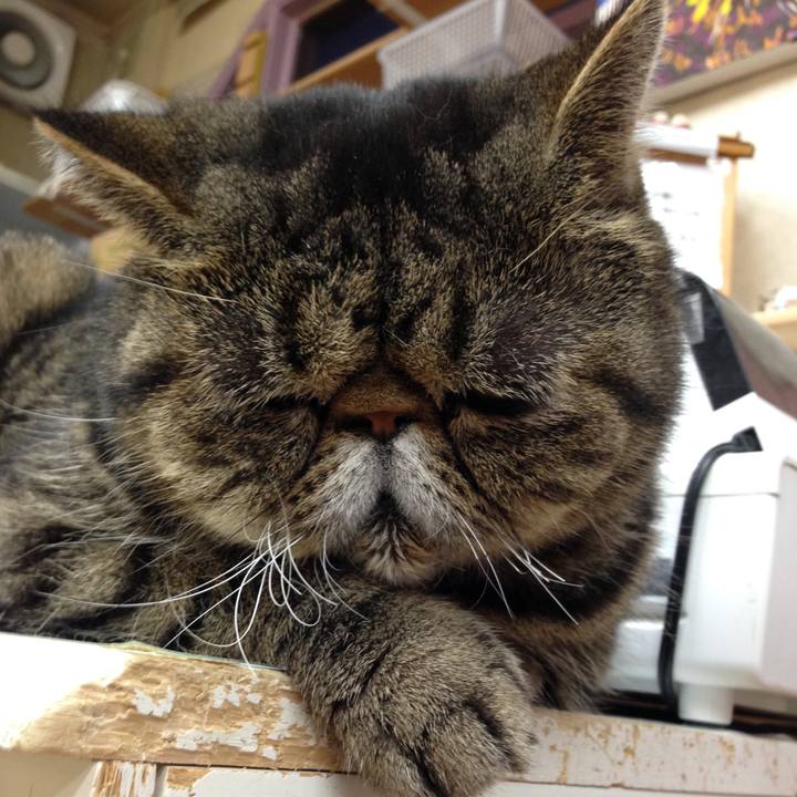 C68b7464 1e13 4d28 ab7a 1532d737db9f