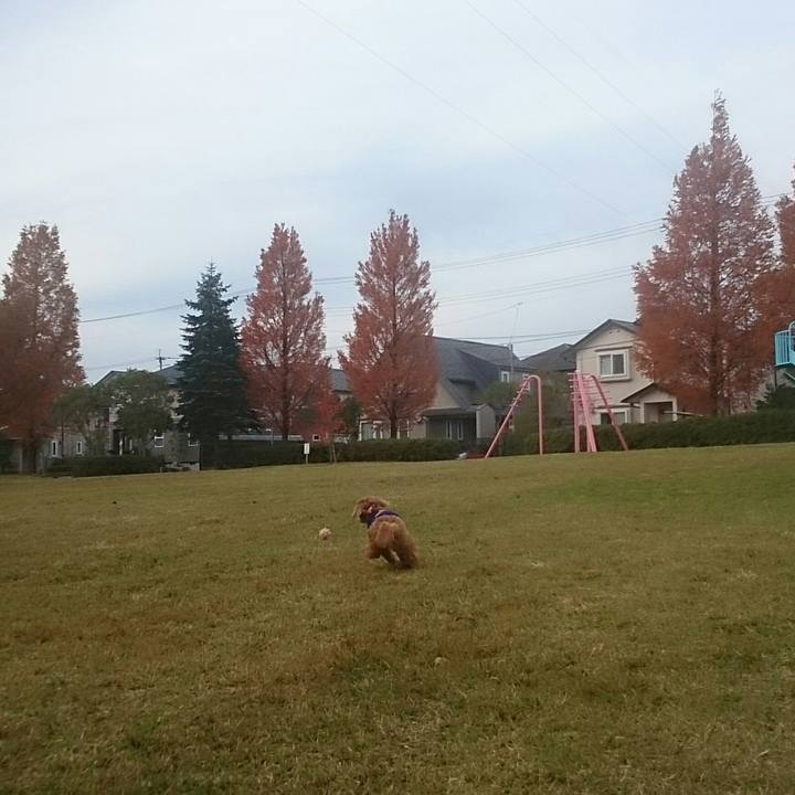 C68bc4a4 230b 4444 828a 1d86c03202c5