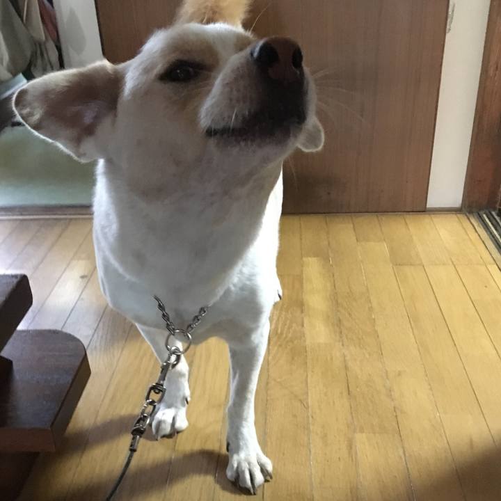 C68c1dc7 6eff 4b68 b67f 9de7c61743bb