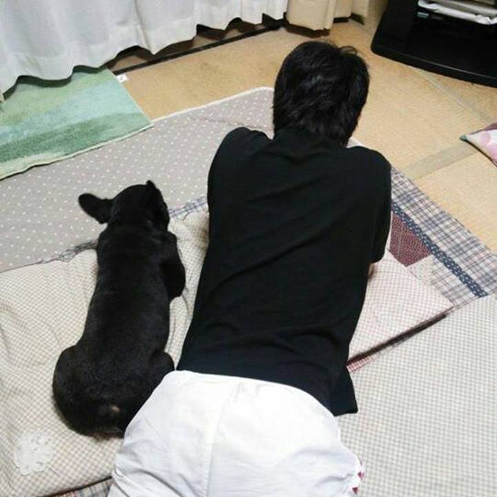 C68d92d3 93e0 4569 bb00 5929d7519162