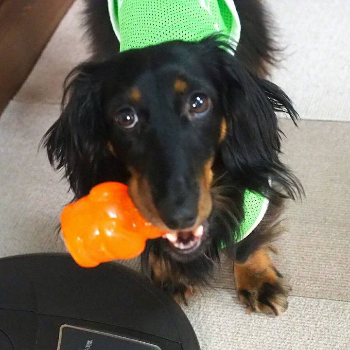 C68e65b2 6129 4538 9647 abc0b0a8a356