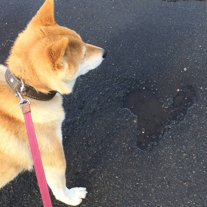 C68f19d0 0dff 4a3c 86e7 0afe1469d91c