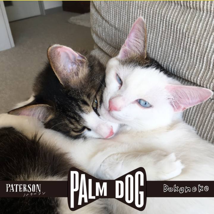 C68fd5a0 1200 45fd 8109 051e82365658