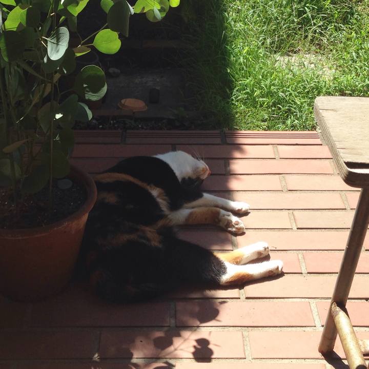 C68fe2a4 e13f 41b6 bcfd 9377ea69af3a