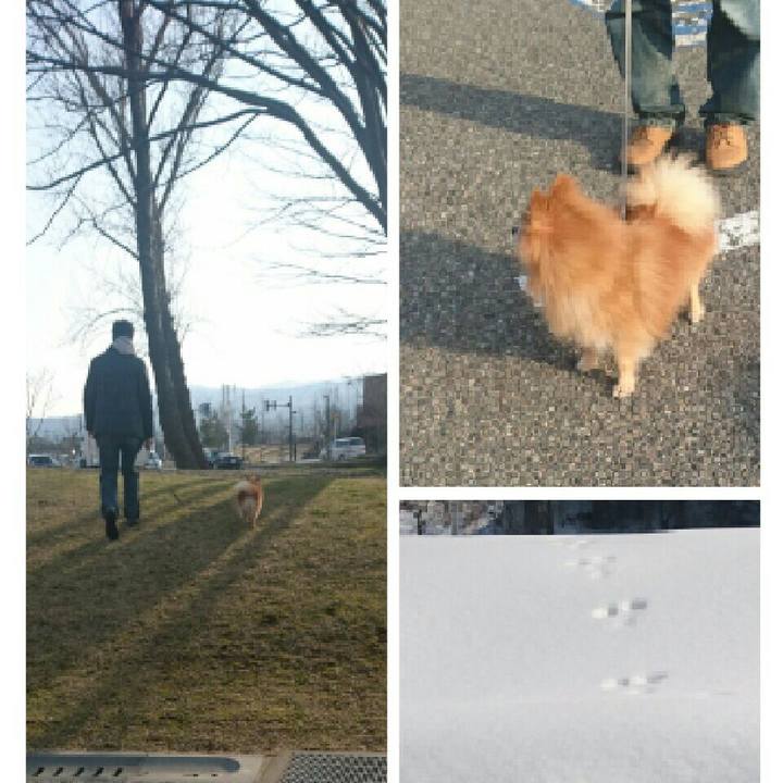 C6911289 40f2 4b48 806c c4c4550a5f30