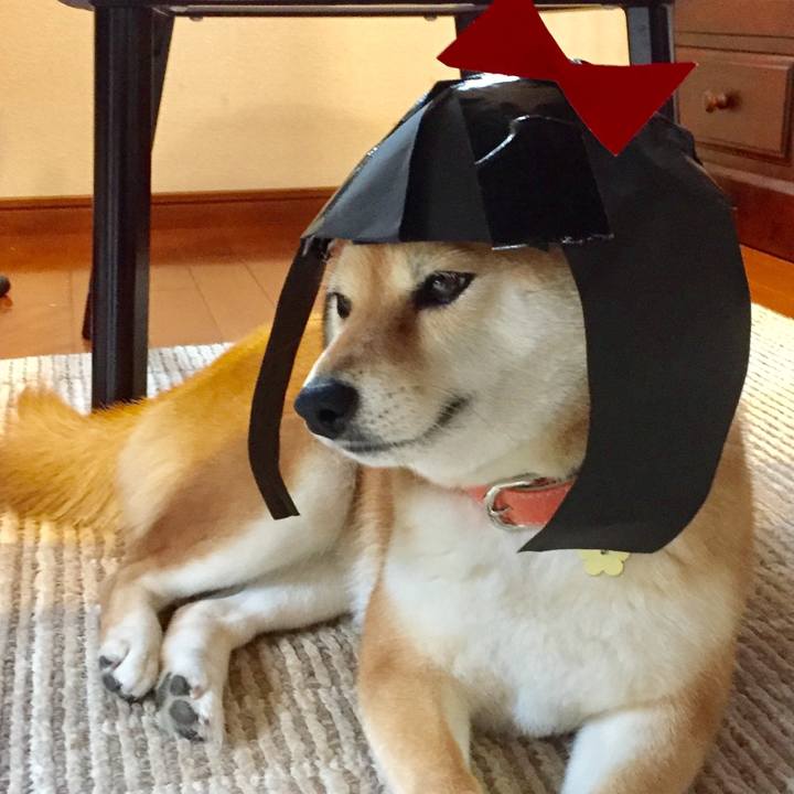 C6911775 490a 406b 903d b5abdce2fdff