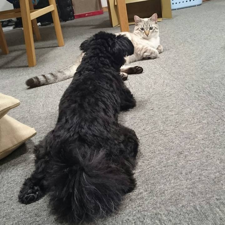 C691856a 4082 42bc aa7f 3715212cf93d