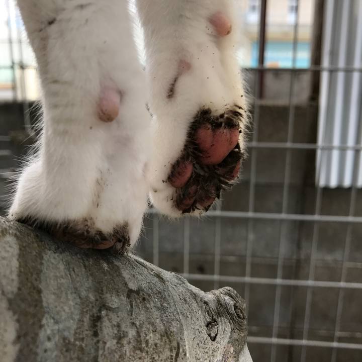 C691995e 4689 43b0 9df1 6be50013990f