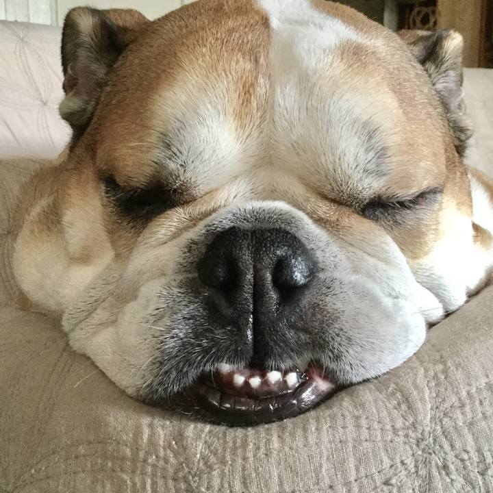 C691a46d 2696 472a 80f2 ff516d092c4f