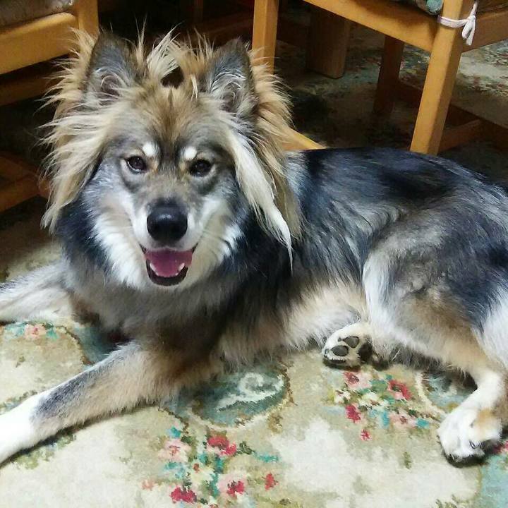 C691f3d0 7b11 421b 804c 0696a4463e1b