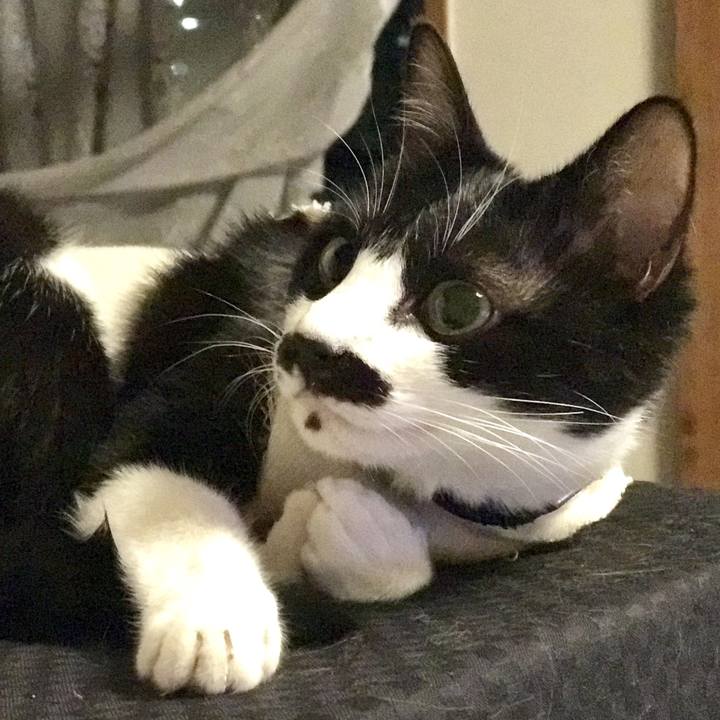 C69204e2 bc26 42a2 8452 4f1ee8f154af