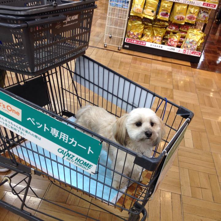 C6921827 50a9 438c b811 05da824aada7