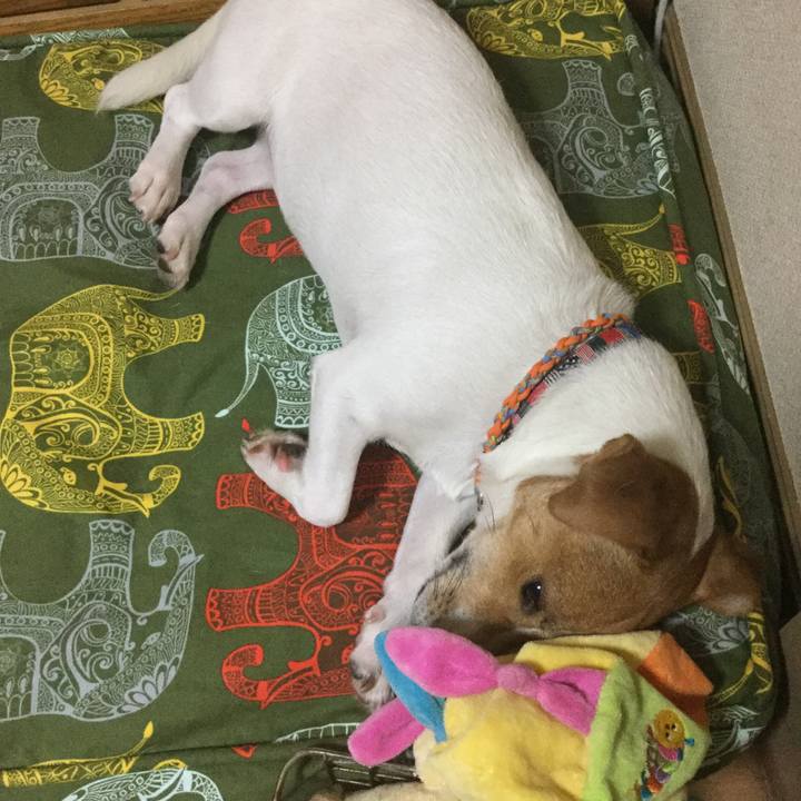 C6939201 0377 40a0 b9a8 d5ffecad463b