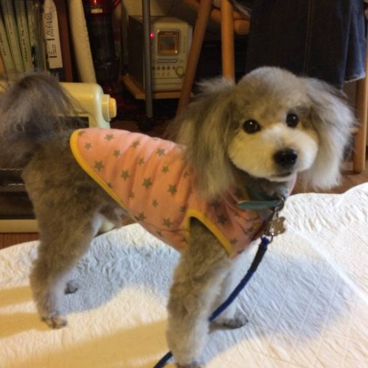 C693c85e 6680 4e65 9a28 d1c7103b9739