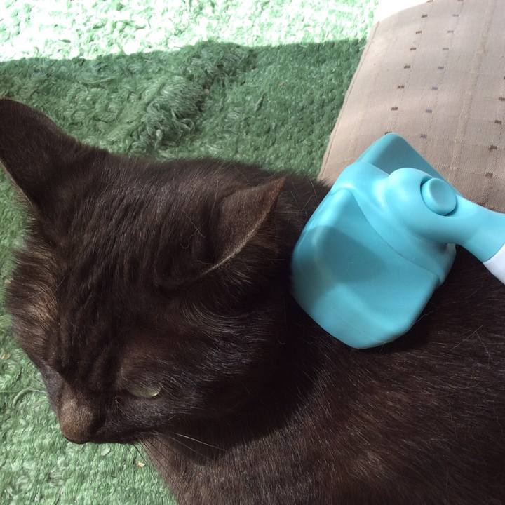 C693db9e bd28 4036 ae6f 8d86271d1f3f