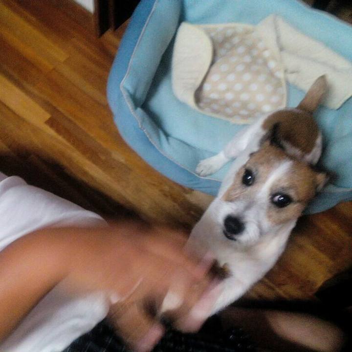 C6946240 9901 4e97 bd22 75eda1c161d7