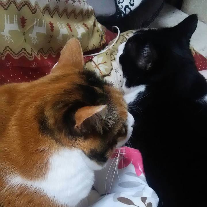 C6957d1e 1dcc 4d41 81fc ea263f3fb7ad