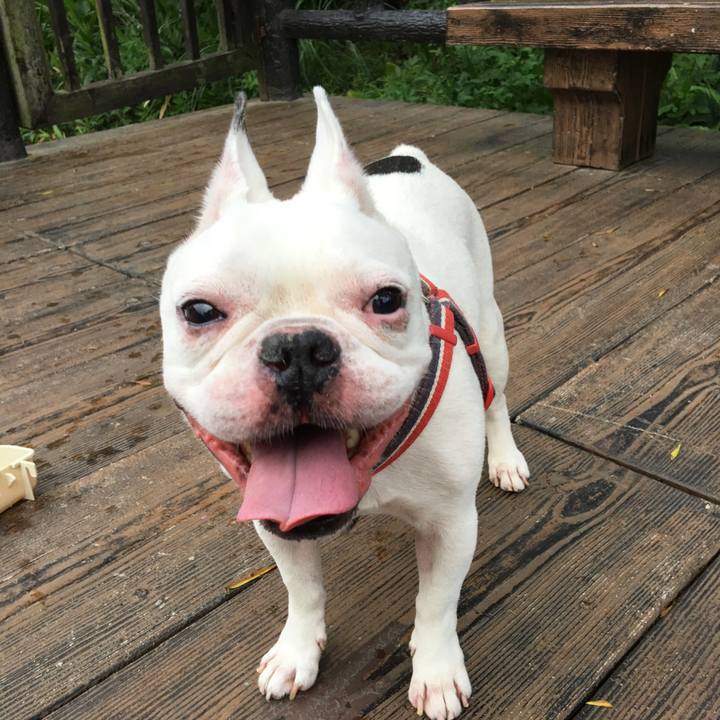 C6962bc8 d02c 416a b18a 879699cff659