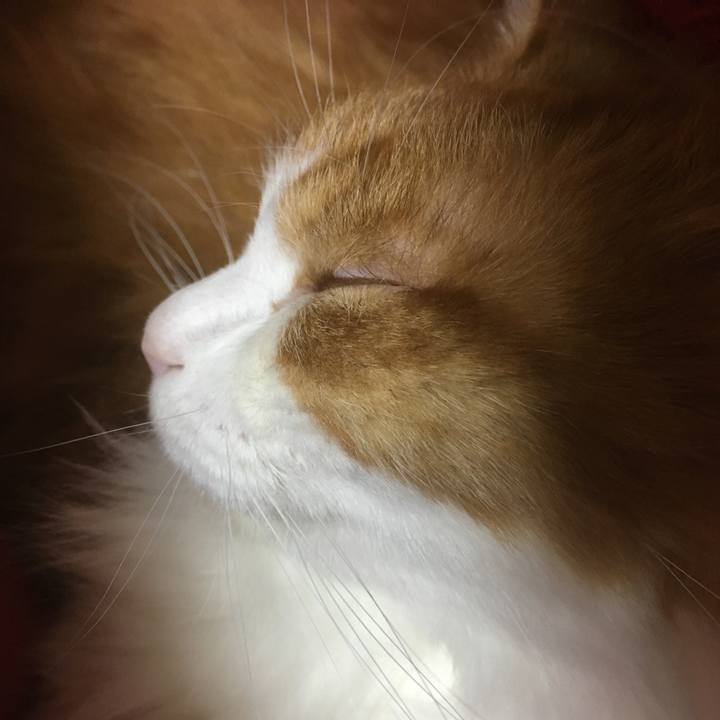 C6967b17 3cb0 4766 b396 a8049eab85ec