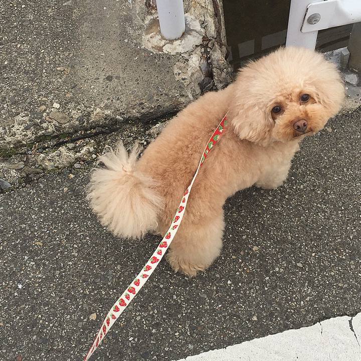 C696ddf7 01ba 4727 868d 1632fff0596b