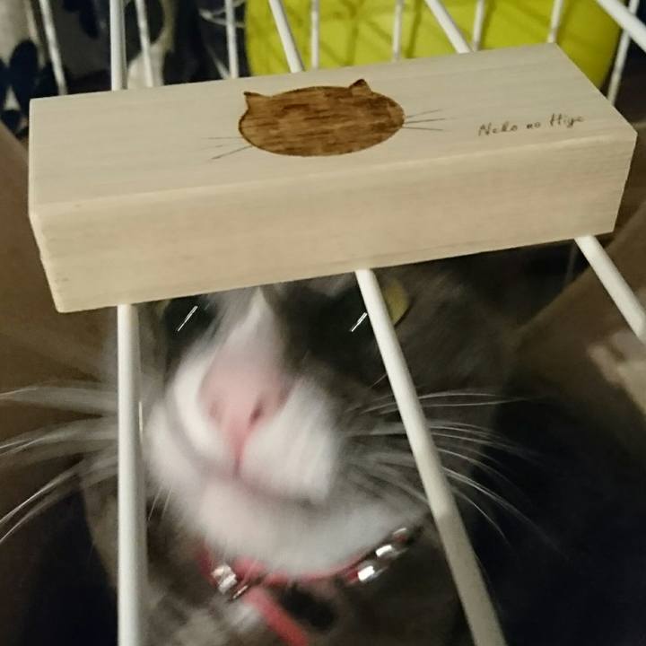 C6978d42 c715 4946 82a2 142e526e2278