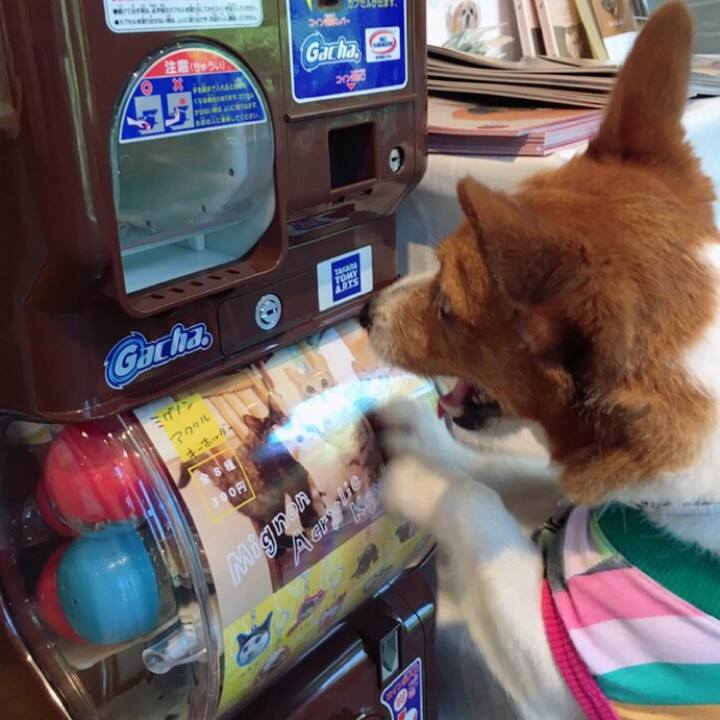 C697e260 cc40 4053 979e d5fe80971f7b