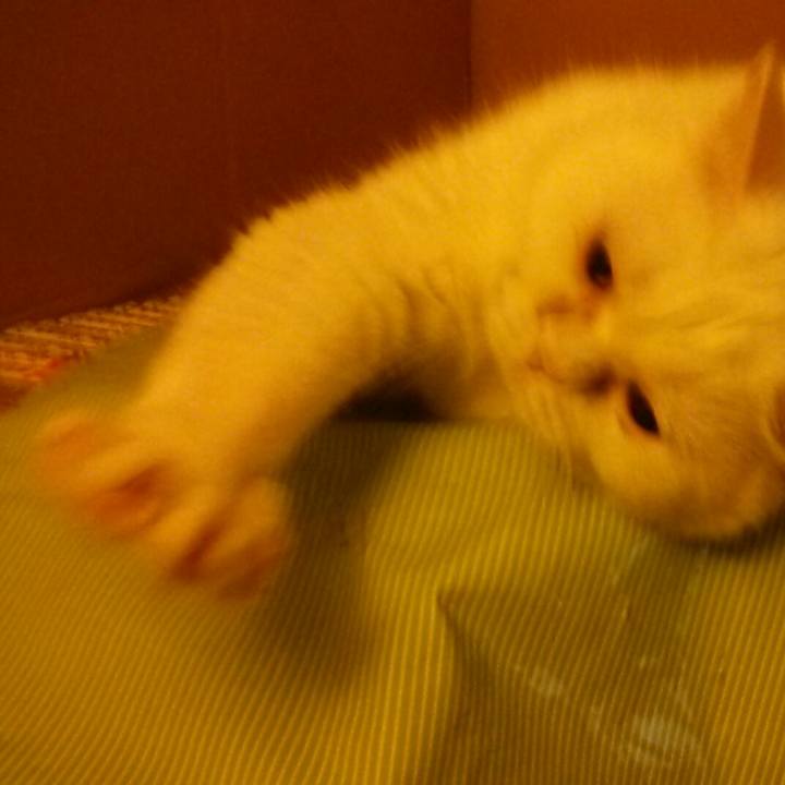 C697ec90 60a9 4f9d b645 d4e43db4719e