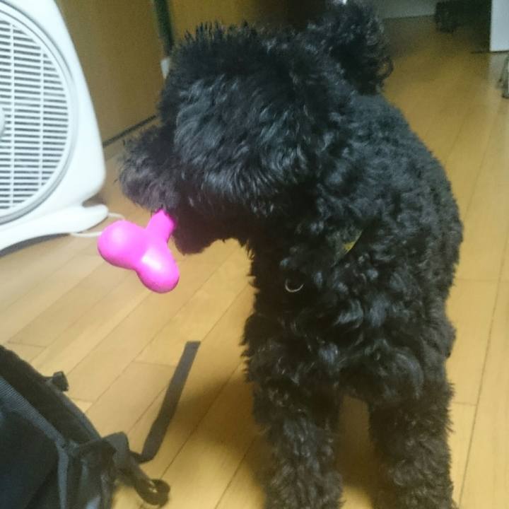 C698098e a4a1 45a4 9b17 234bd5afd577